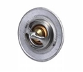 Thermostat 180 Deg 10202456