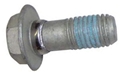 Oil Pump Bolt 11519133