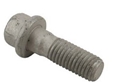 Bolt, Frt Caliper 11570581