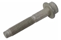 Bolt 11610074