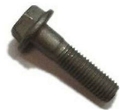 Bolt 12523235
