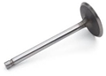 Exhaust Valve 1.55" 12551313