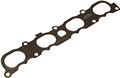 Ecotec Intake Gasket LNF12589366