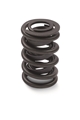 Valve Spring 12706568