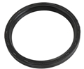 Ecotec Rear Main Seal 12591866