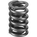 Valve Spring 14097002