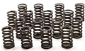 Valve Spring Kit 19154761
