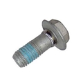 LS1 Flexplate Spacer Bolt 19257940
