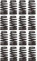 Valve Spring Kit 19420455