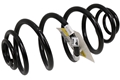 Spring Rear FE1 22705489