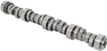 Camshaft Steel Roller 24502611