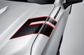 Fender Hash Mark Decal Package in Dark Grey with Red Outline 84426011
