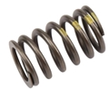 Ecotec Valve Springs 90537032