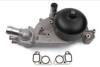 LS Water Pump 19434033