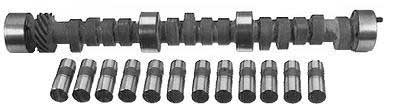 Chevrolet Small-Block Camshafts