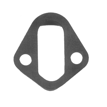 Fuel Pump Gasket 10114141