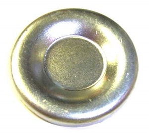 Camshaft Plug 10241154