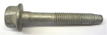 Ecotec Camshaft Cap Bolt 11519970