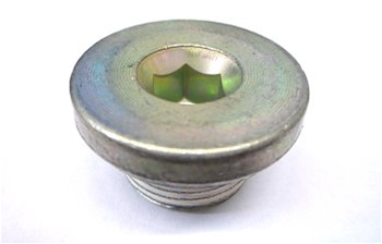 Plug, Timing Chain Access 11588880