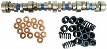 Camshaft (Gen III) (Hot Cam) 19355738