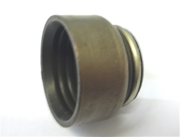 Valve Stem Seal 12555601