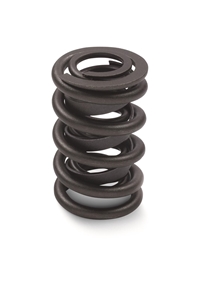 Valve Spring 12706568