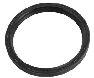 Ecotec Rear Main Seal 12591866