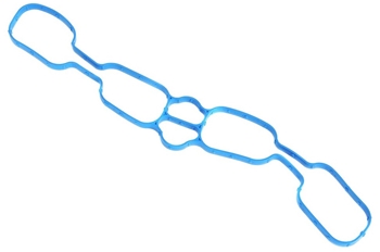 Gasket, Intake 12637018