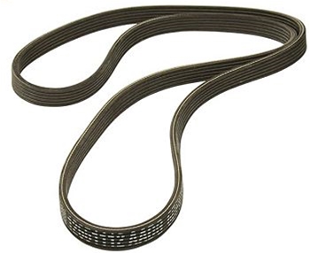 Belt LT1, LT4, LT5 12651112
