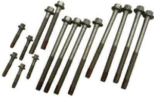 Cylinder Head Bolt Kit Gen III, Gen IV 17800568