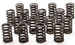 Valve Spring Kit 19154761