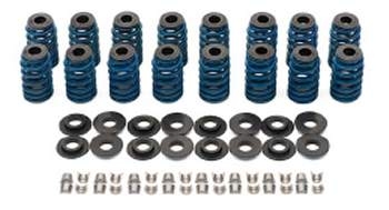 Beehive Valve Spring Conversion Kit 19421192