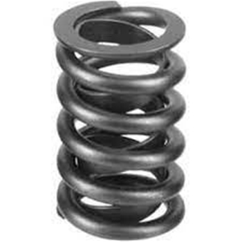 Valve Spring 19418908