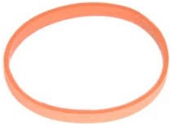 Gasket 24455112
