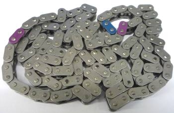 Ecotec Timing Chain 24461834