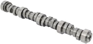 Camshaft, Hydraulic Flat 24502476