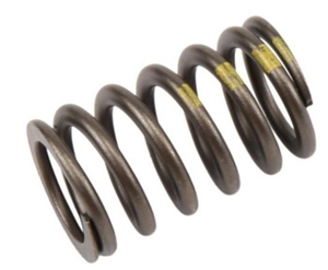 Ecotec Valve Springs 90537032