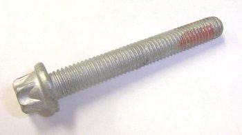 Ecotec Head Bolt 24407225