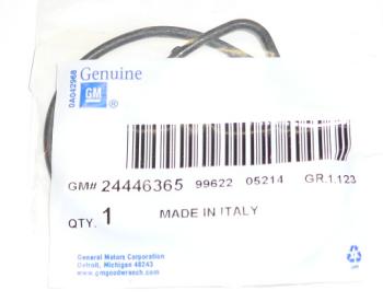 Ecotec Water Pump Seal 24446365